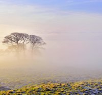 Extremely Foggy Landscape