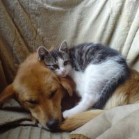 Just keeping warm...