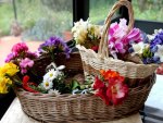 Basket with different flowers