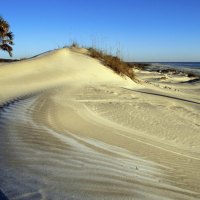 cumberland island beach georgia