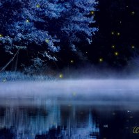 Firefly Lake