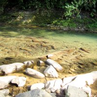 Crystal clear mountain stream