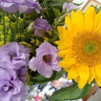 Light and Colorâ™¥