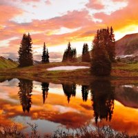 beautiful reflection of golden sunset