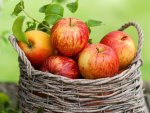 *** Basket of apples ***