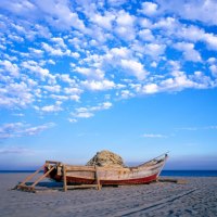 fishing boat on shore
