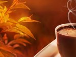 Hot Chocolate On An Autumn Day~Perfect!