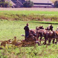 Farmer Working the Field