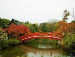 autumn in Kyoto