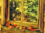 Autumn window