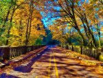 Autumn road