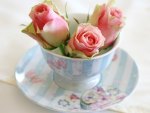 *** Cup of roses ***