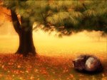 wolf sleeping under a tree in autumn