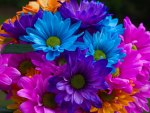 Colorful flowers