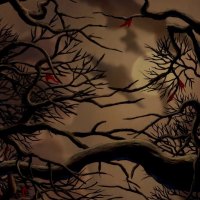 The woods around sunset