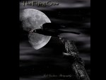 Flying Crow
