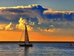 Sailing
