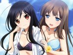 Accel World Swimsuits