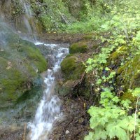 Looking at the runlet