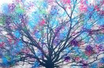 RAINBOW TREE