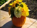 PUMPKIN AND YELLOW FLOWERS