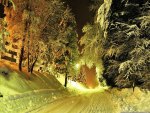 winter road