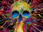 Color skull