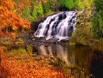 Bond falls in autumn