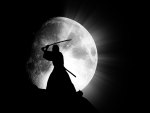 samurai by moonlight