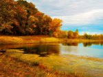 Autumn At The Lake