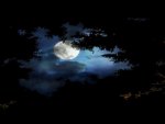 Full Moon 1
