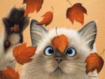 kitten and fall leaves