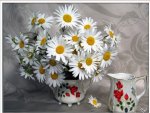 WHITE DAISIES