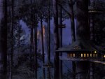Tree house at night