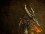 Fire Dragon