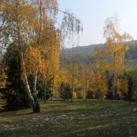 Autumn is here again