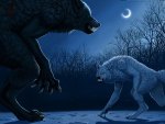 Werewolfs fight
