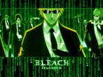 Bleach in the Matrix