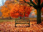 Beautiful Autumn