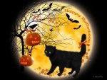â™¥     Happy Halloween Cat     â™¥