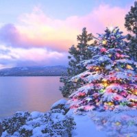 Icy Christmas Splendor