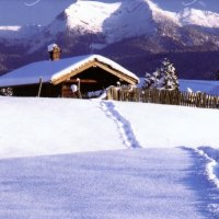 Wintertime Cristmastime