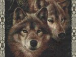 Two Wolves