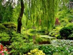 Garden in greenery