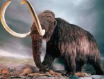 woolly mammoth