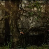 Hide & Go Seek - Wanna Play?