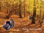 Happy Thanksgiving