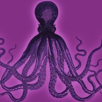 Purple Octopus