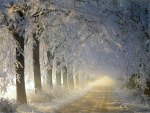 winter road