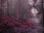 Pink in forest